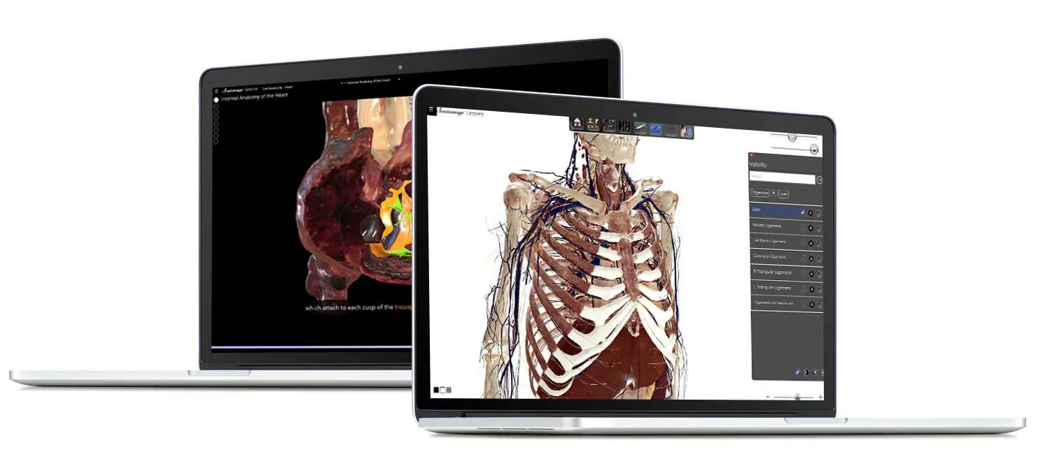Anatomage Lessons