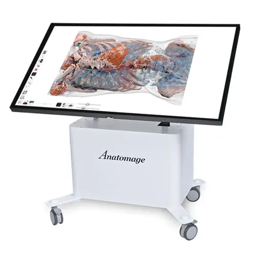 Anatomage Table Clinical