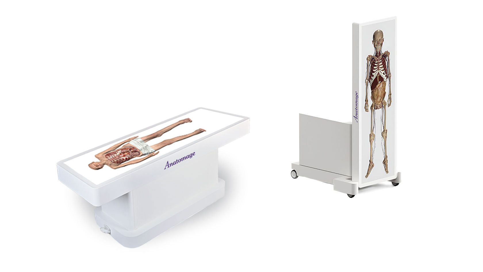 Anatomage Table