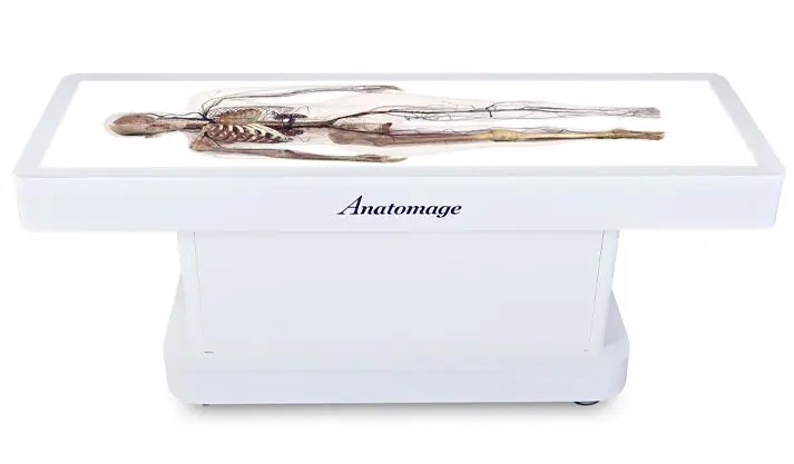 Anatomage Table — фото 2
