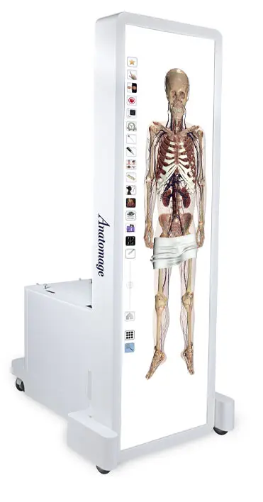 Anatomage Table — фото 3