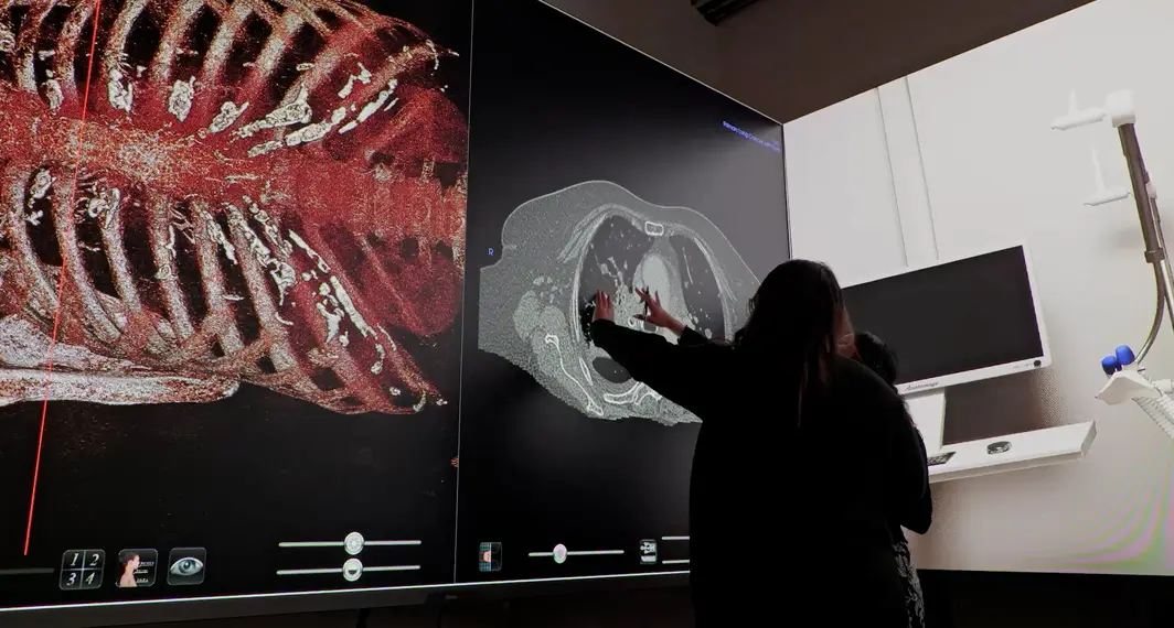 Anatomage Theater