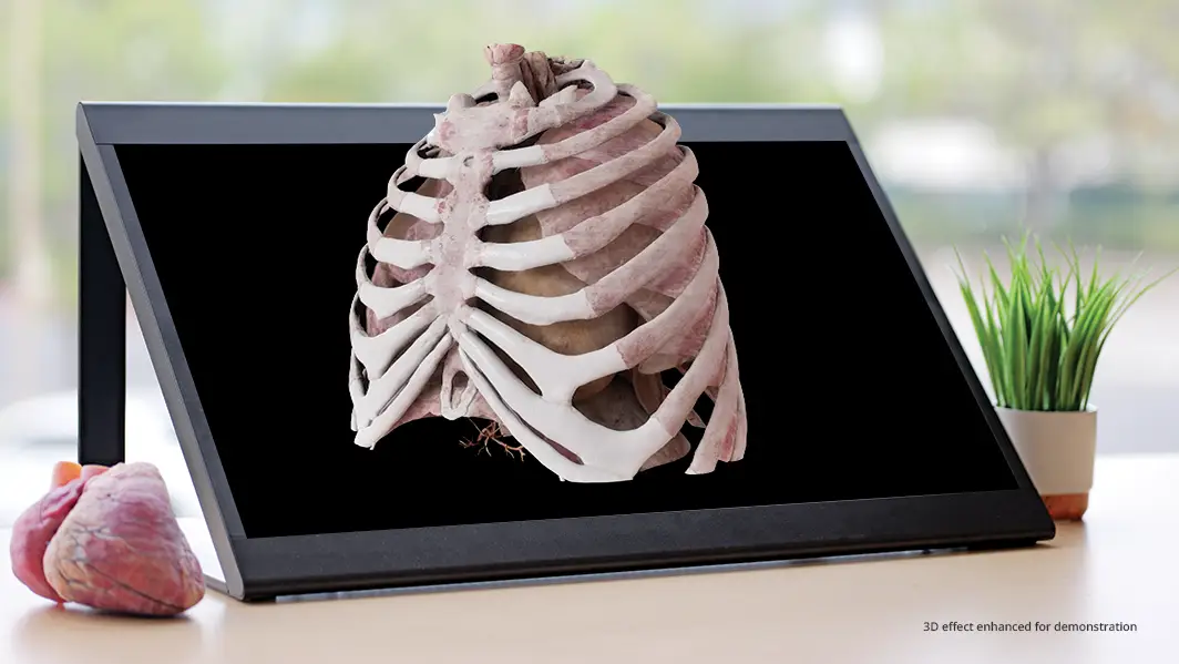 Anatomage Xtreme Reality