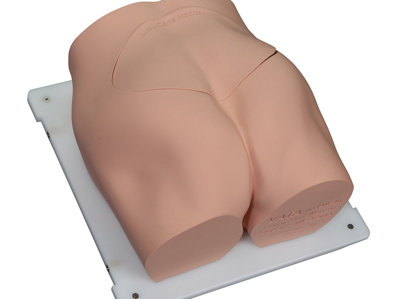 Bonnie Bone Marrow Biopsy™ Skills Trainer With Case — изображение 1