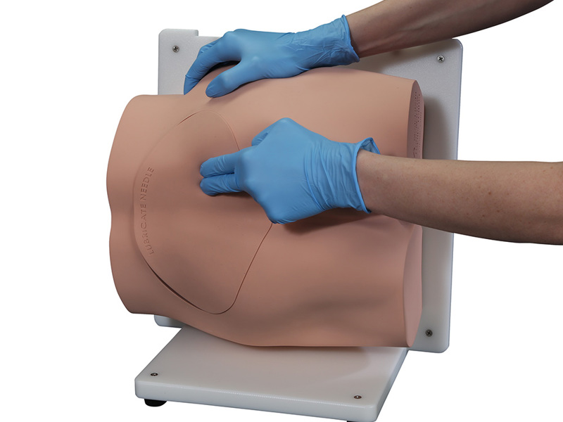 Bonnie Bone Marrow Biopsy™ Skills Trainer With Case — изображение 2