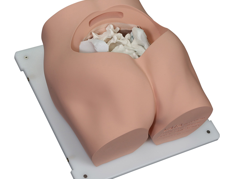 Bonnie Bone Marrow Biopsy™ Skills Trainer With Case — изображение 4