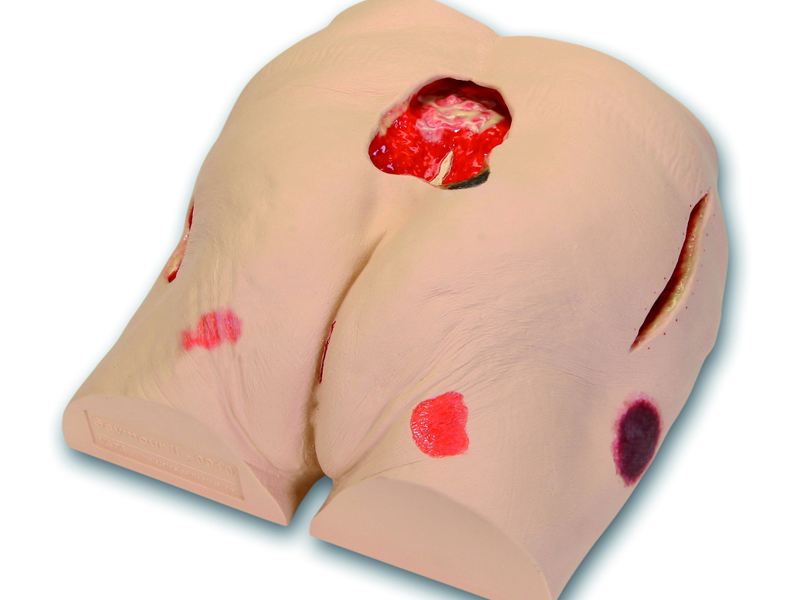 Seymour II Wound Care Model™ — изображение 1